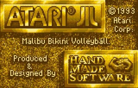 Descarga Malibu Bikini Volleyball GRATIS Retrolorian