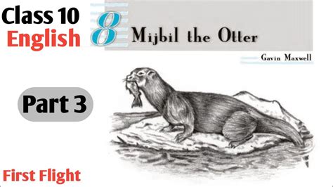 Mijbil The Otter Class 10 English Chapter 8 First Flight Part 3