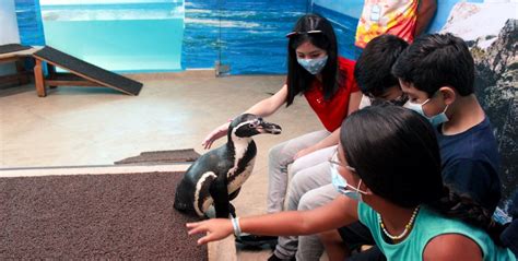 Aquarium Aquarium Del Puerto De Veracruz