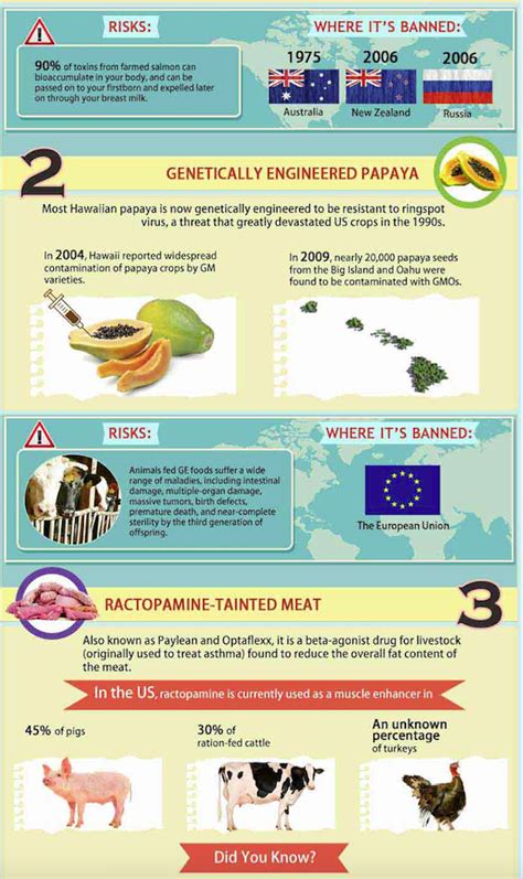 Banned Foods Americans Should Stop Eating Infographic Prepare For