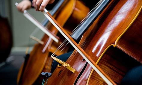 Types of Cello Strings: An Overview | Cello, Violin shop, Electric cello