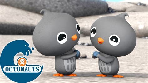 Octonauts Les Manchots Ad Lie Dessins Anim S Pour Enfants Youtube