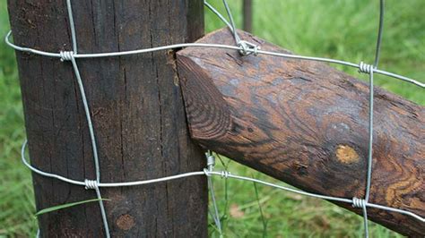 How To Build The Perfect Livestock Fence Farmers Weekly