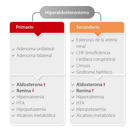 Para El Hiperaldosteronismo Hot Sex Picture