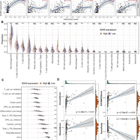 Immunological And Biological Significance Of Ighd In Pc A Correlation