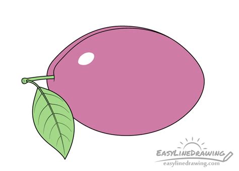 How To Draw A Plum Step By Step Easylinedrawing