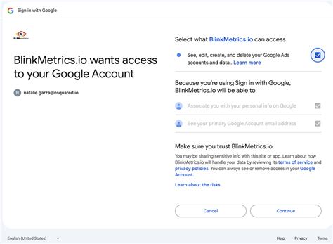 Google Ads Connection - BlinkMetrics