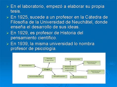 Psicolog A Ana Cristina Piaget Y La Teoria De La Psicologia Evolutiva