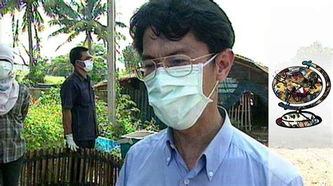 The Avian Flu Outbreak In Thailand 2004 Youtube