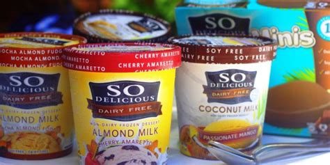 So Delicious Dairy Free Ice Cream Review - Chic Vegan