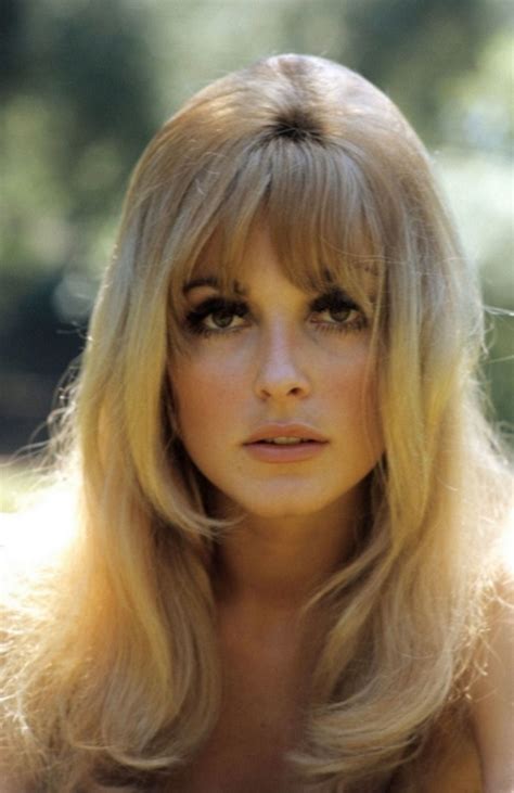 Sharon Sharon Tate 60s Hair Tate