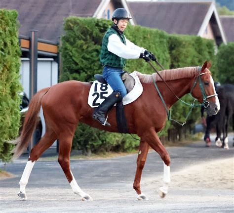 【岩田康誠の熱血！！競馬道】プリュムドールの操縦性を生かし、初タイトルへ導きたい Umatoku 馬トク