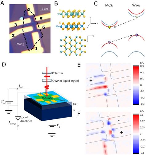 Figure From Circular Photogalvanic Effect In D Van Der Waals