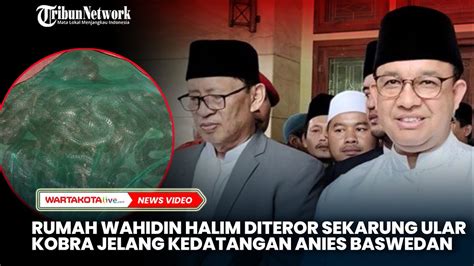 Rumah Wahidin Halim Dilempari Sekarung Ular Kobra Jelang Pertemuan