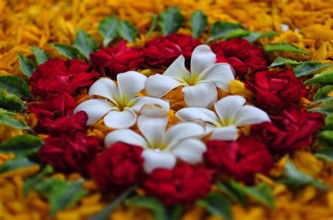 Premium Photo Close Up Of Red Flowers On Plant