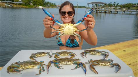 Big Crabs Off The Dock Catch Clean And Cook Florida Blue Crab Youtube