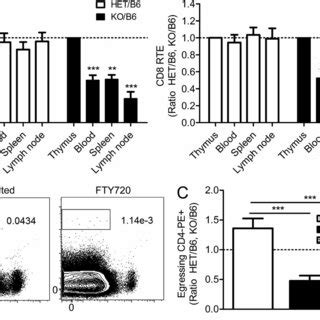 T Cellspecific Dynamin Deficiency Leads To Lymphopenia And