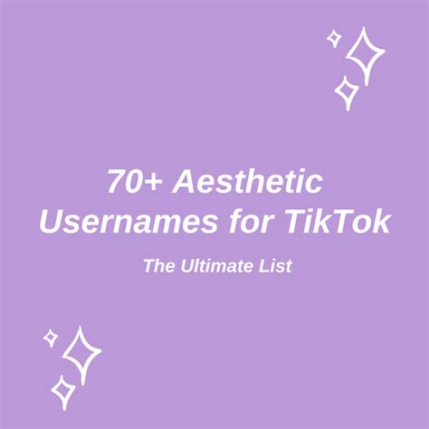 70 Aesthetic Usernames For TikTok The Ultimate List HubPages