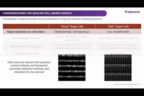 Abveris On Lessons Learned From Years Of Discovering Functional