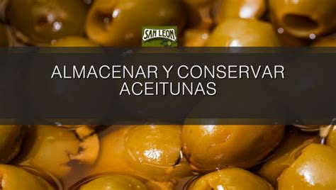 Cómo almacenar y conservar aceitunas Guía paso a paso SAT San León