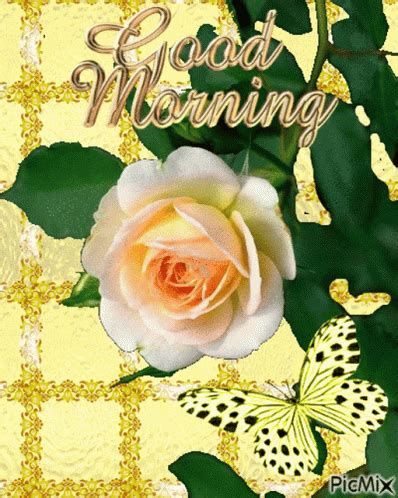 Good Morning Rose GIF - Good Morning Rose Flower - Discover & Share GIFs