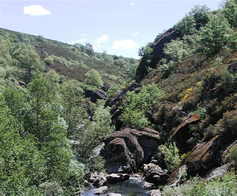 Ponte do Couço