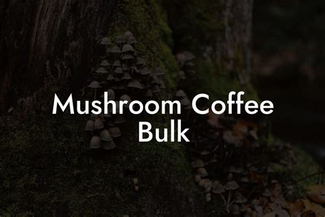 Mushroom Focus Coffee - Mr Mushroom