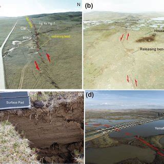 Offset Car Track In The Maduo Earthquake A Coseismic Surface