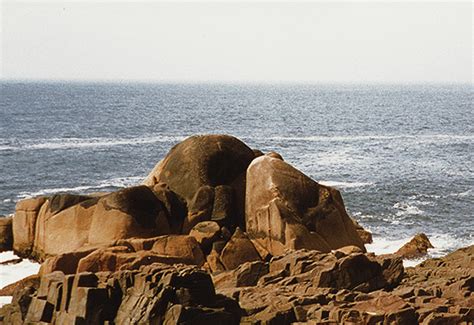 Damage to the Rock Art Petroglyphs of Campeche Island Brazil