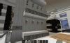 Saks Fifth Avenue Department Store Minecraft Map