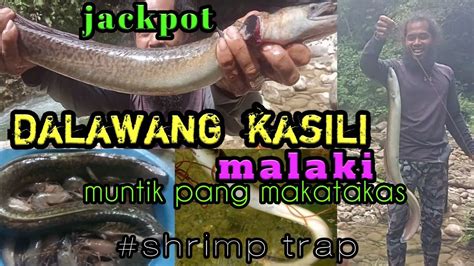 Malaking Kasili O Igat Huli Sa Hookgiant Eel Catch N Cook Part 2