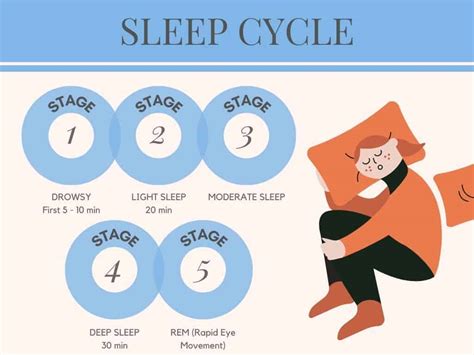 Different Stages Of Sleep Cycle