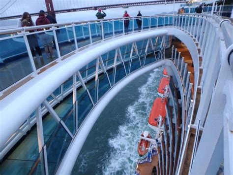 royal princess cruise stories