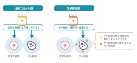 がんゲノム治療について 大阪急性期・総合医療センター 消化器外科