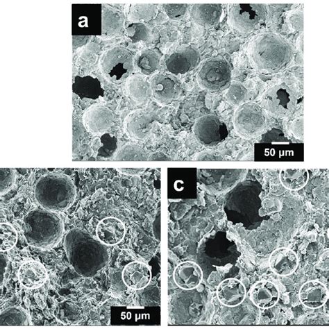 Sem Micrographs Of Porous Al Composites With A B And C