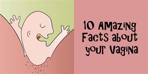 10 Amazing Facts About Your Vagina Sex Relationships