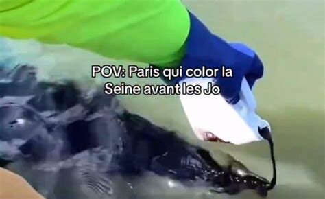 Du Colorant Bleu Dans La Seine Ces Images Qui Affolent La Toile