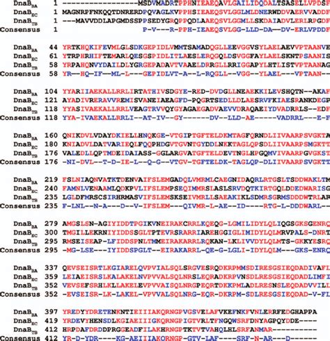 Homology Alignment Of Dnab Sequences From B Anthracis Dnab Ba E