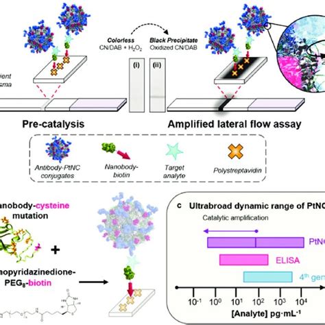 Pdf Nanozyme Based Electrochemical Biosensors For Disease Biomarker