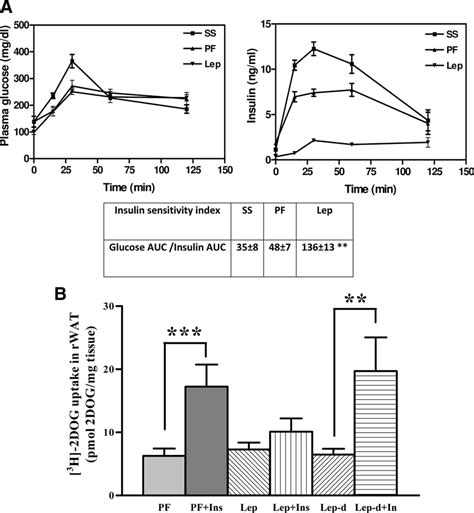 Effects Of Central Leptin Administration On Ip Glucose Tolerance Test