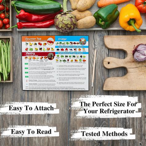 Buy Produce Storage Guide Magnet How To Store Food Magnet For The