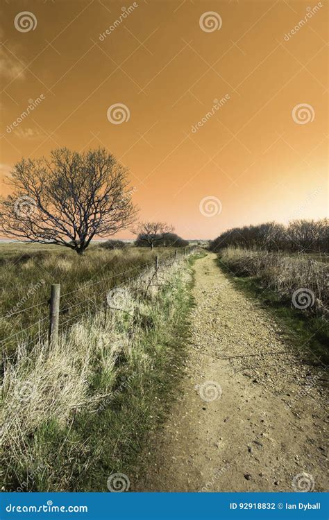 Orange Sky Sunrise Over Coastal Country Path Stock Photo Image Of