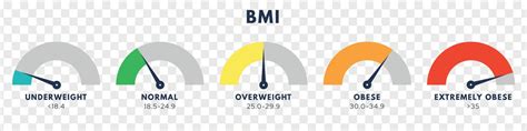 Body Mass Index Or Mass Index Scale Types Of Bmi Weight Loss Concept Vector Isolated