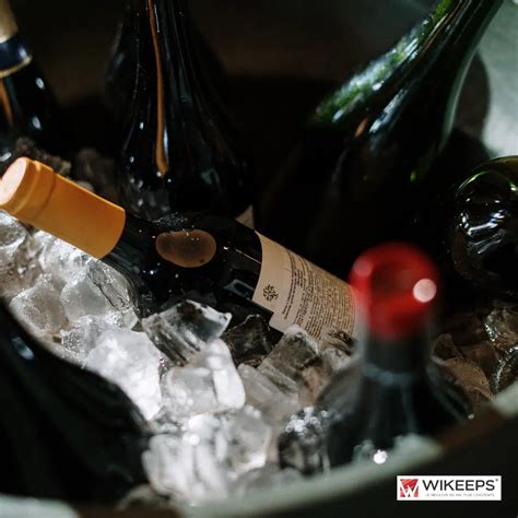 What Is The Best Wine Temperature For Serving Wikeeps