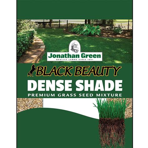 Jonathan Green Dense Shade Grass Seed Improve Your Lawn S Appearance