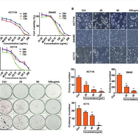 Differentially Expressed Proteins Were Evaluated By Proteomics A