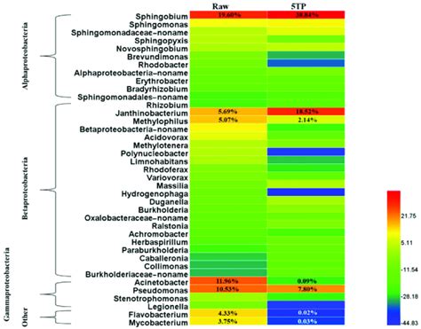 Heatmap Of Relative Abundance At The Genus Level Download Scientific Diagram