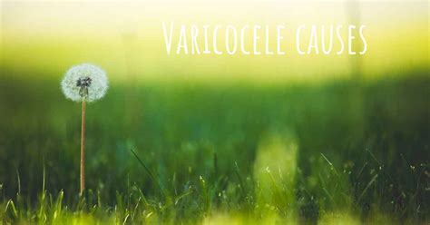 Which are the causes of Varicocele?