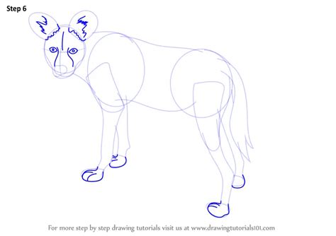 Learn How to Draw a African Wild Dog (Wild Animals) Step by Step ...