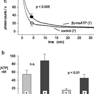 Effects of βγ meATP on compression induced release of ATP Fourteen